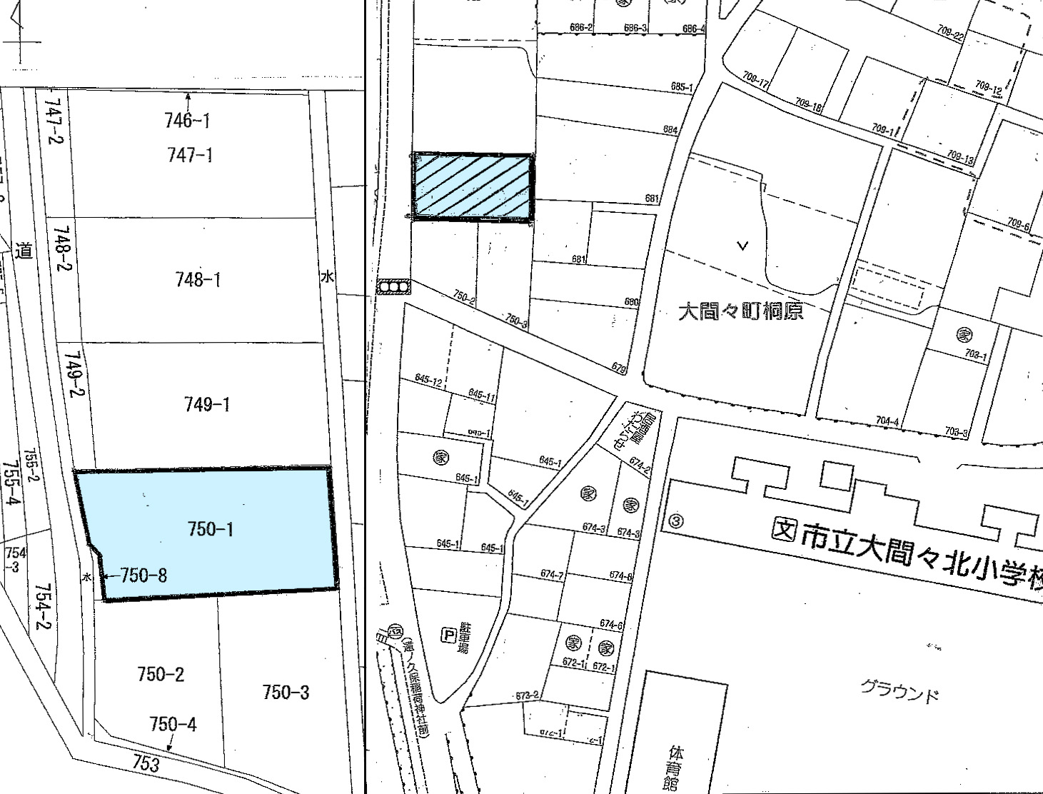 桐原
